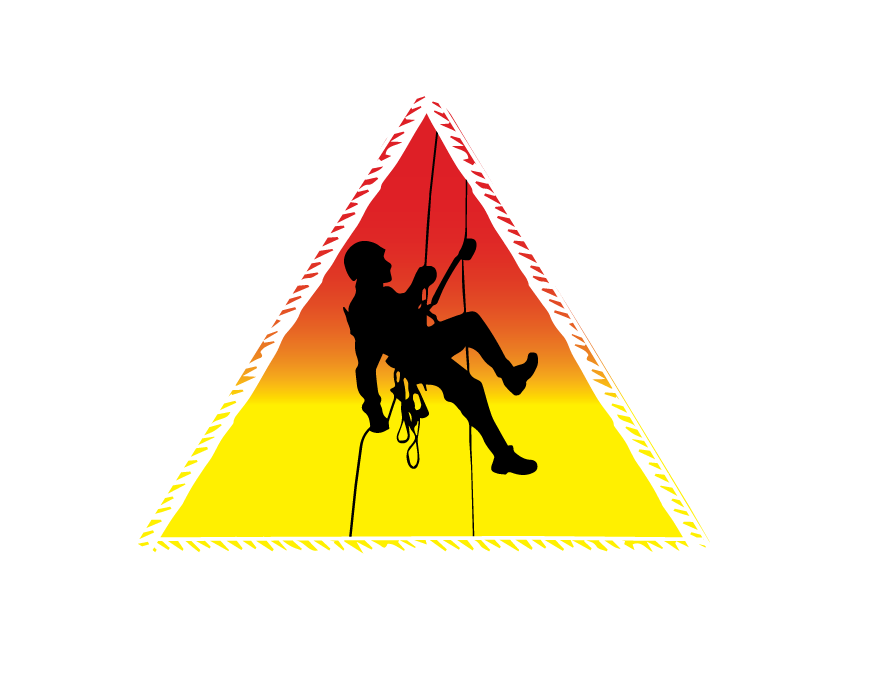 Vector